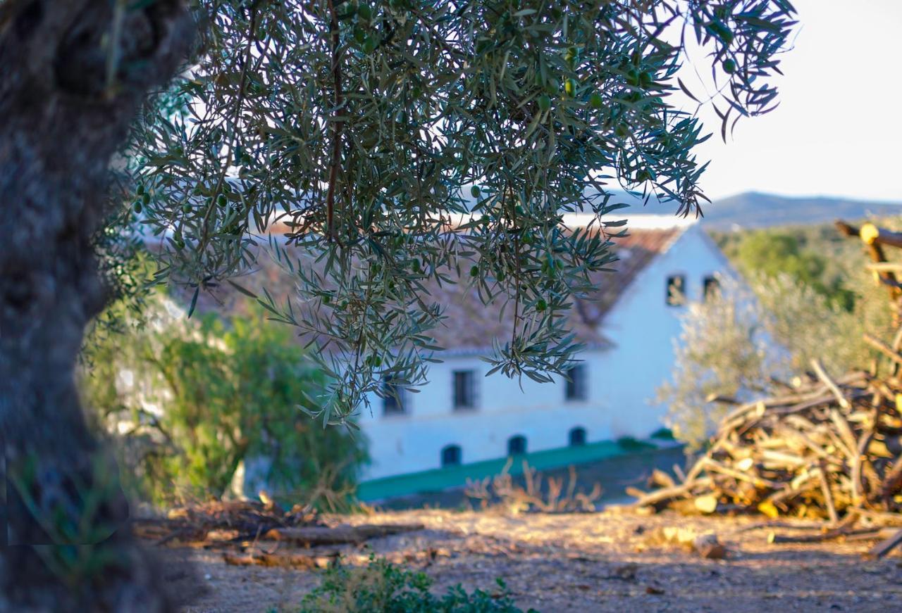 Cortijo Alzamigaja Villa Archidona Luaran gambar